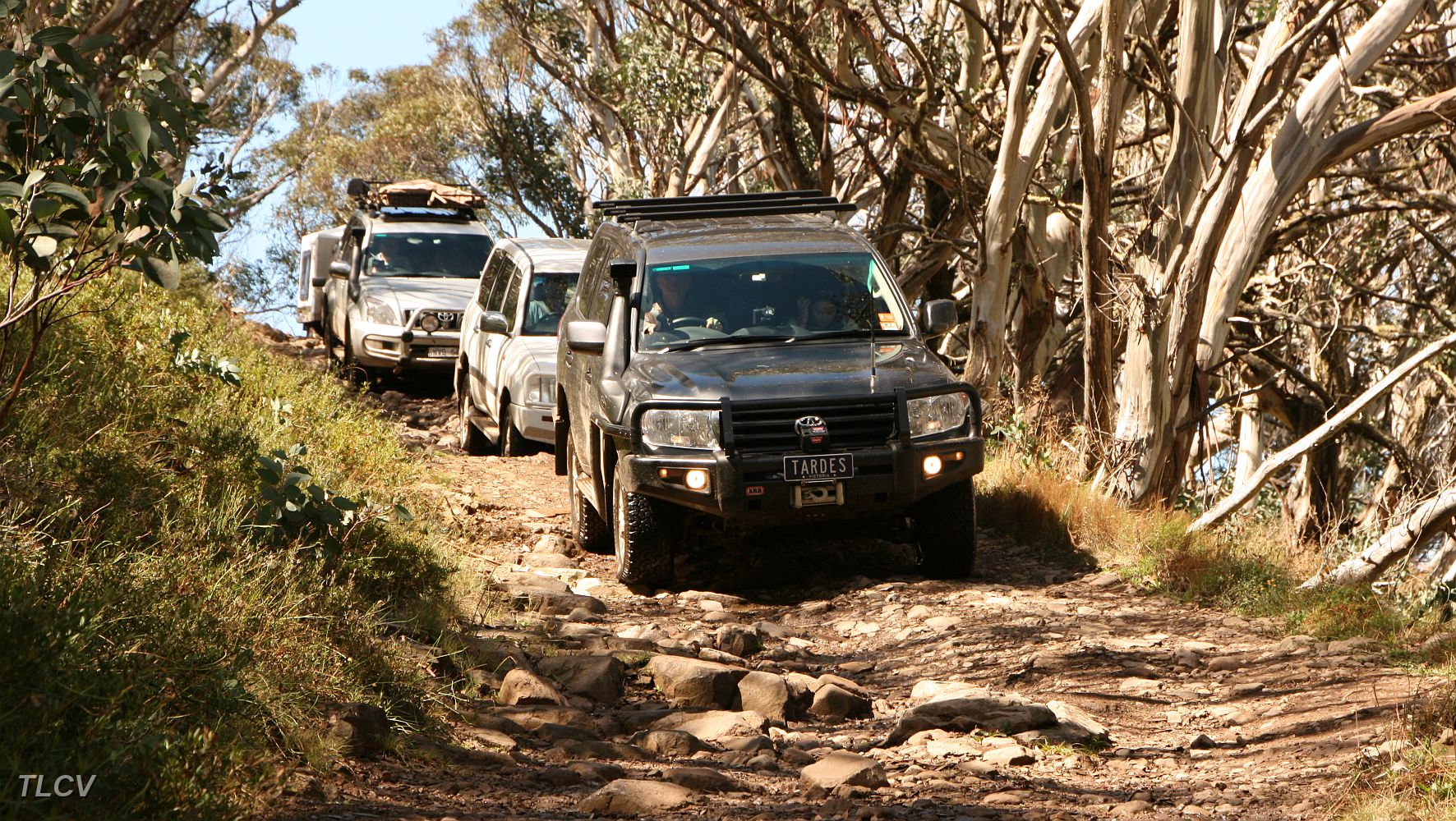 King Billy Track.JPG